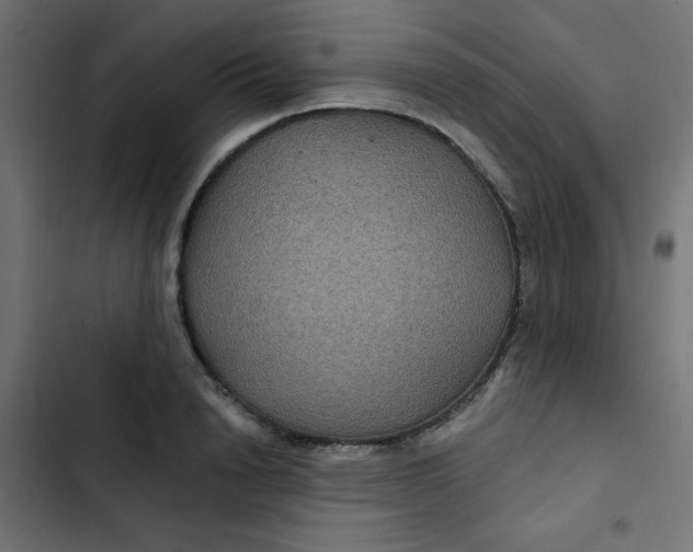 X0000103320846200809261134