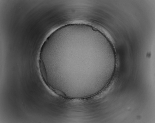 X0000103320847200809261134