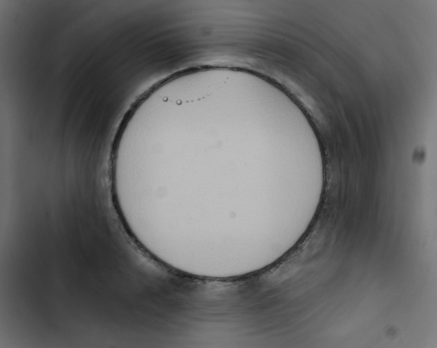 X0000103320848200809261134