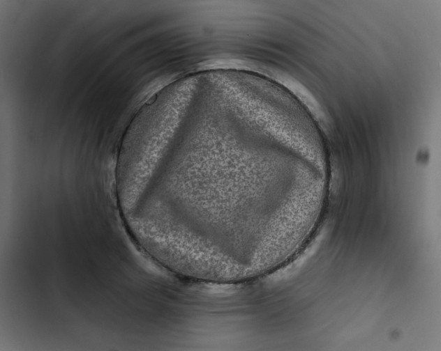 X0000103320849200809261134