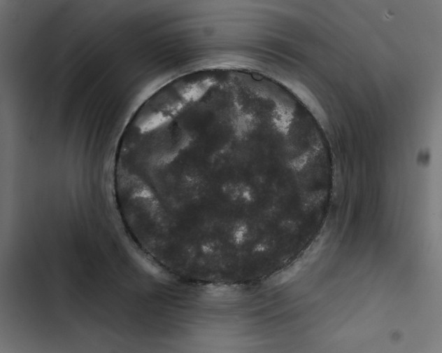 X0000103320850200809261134