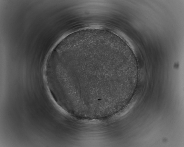 X0000103320851200809261134