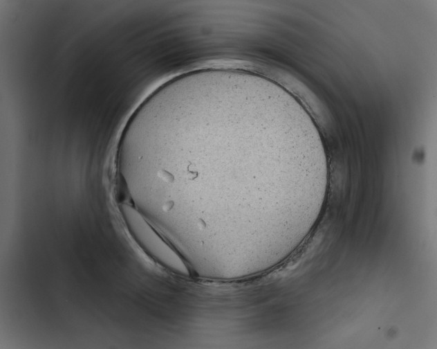 X0000103320852200809261134