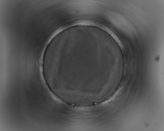 X0000103320853200809261134