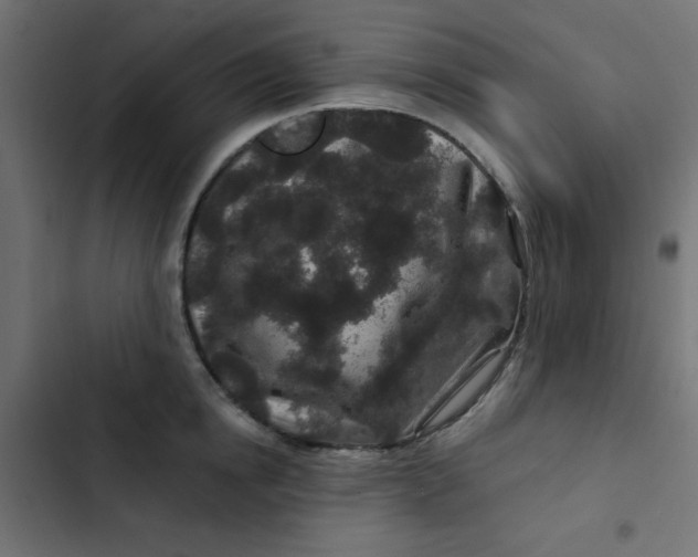 X0000103320854200809261134