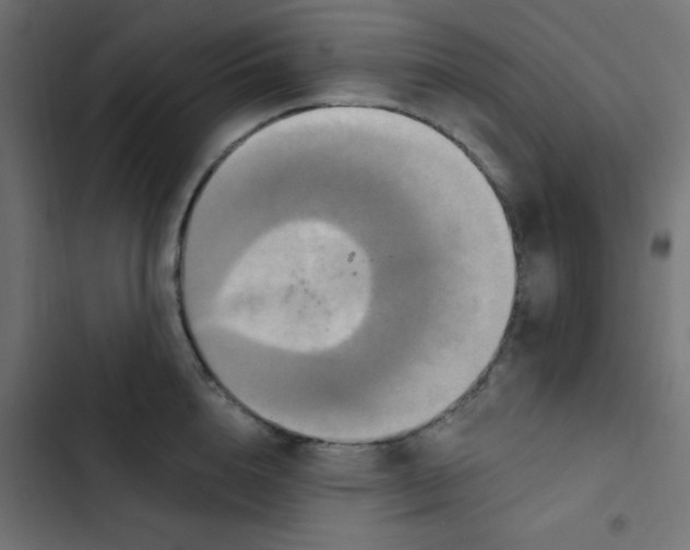 X0000103320856200809261134