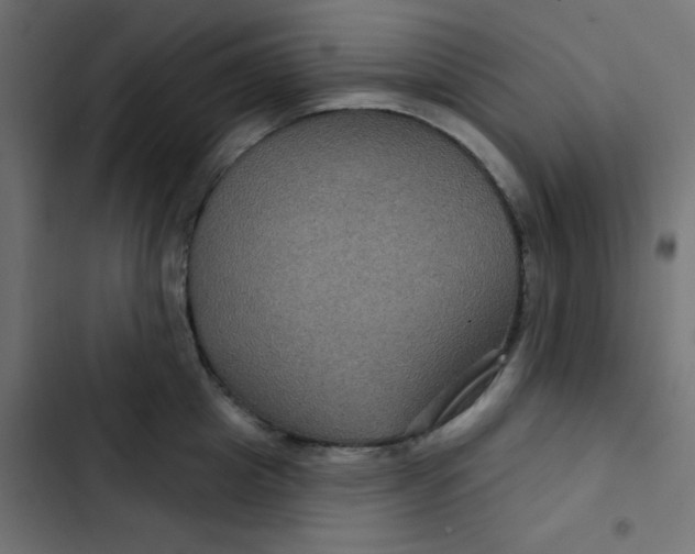 X0000103320857200809261134