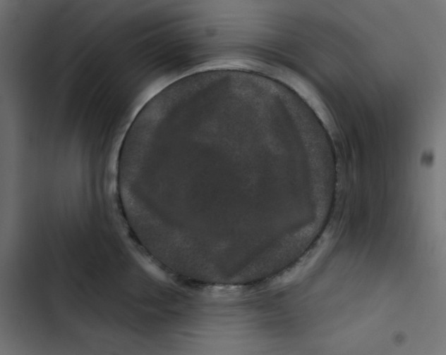 X0000103320858200809261134