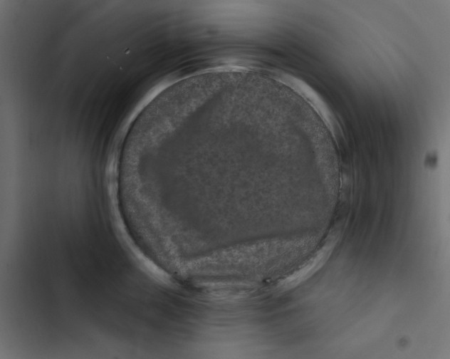 X0000103320859200809261134