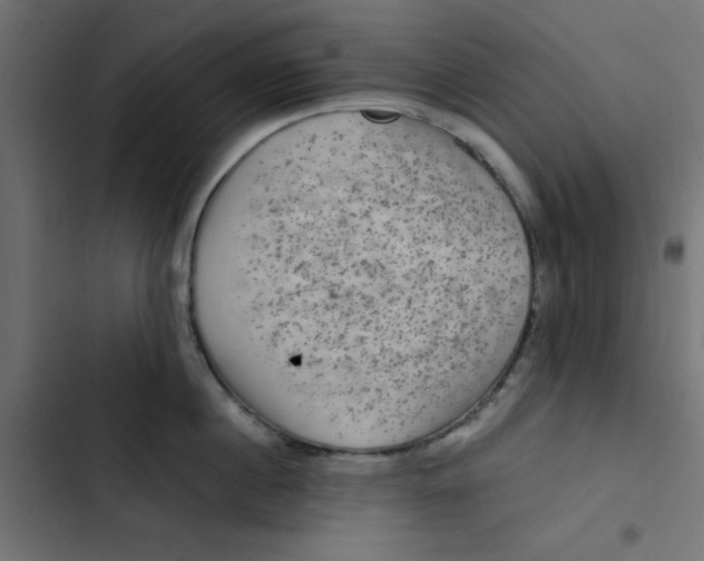 X0000103320860200809261134