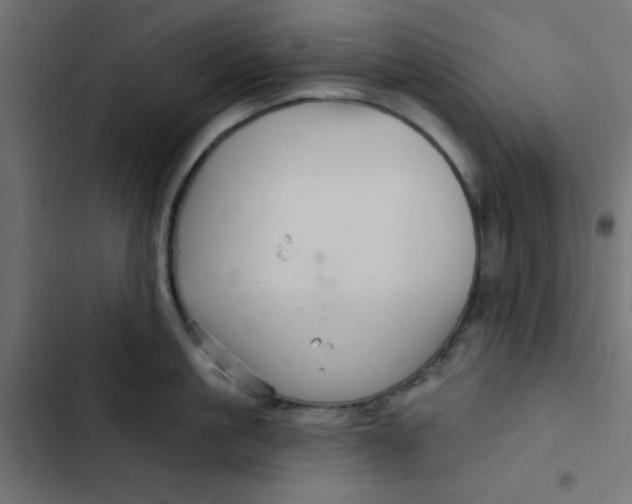 X0000103320861200809261134