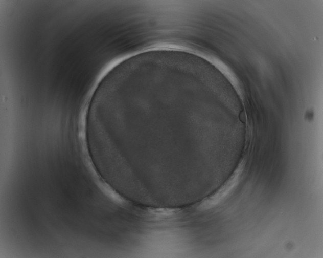 X0000103320862200809261134