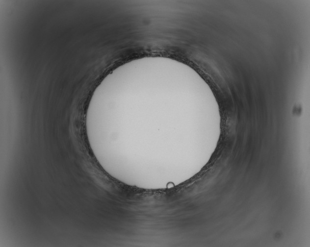 X0000103320865200809261134