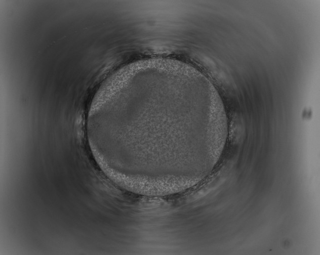 X0000103320866200809261134