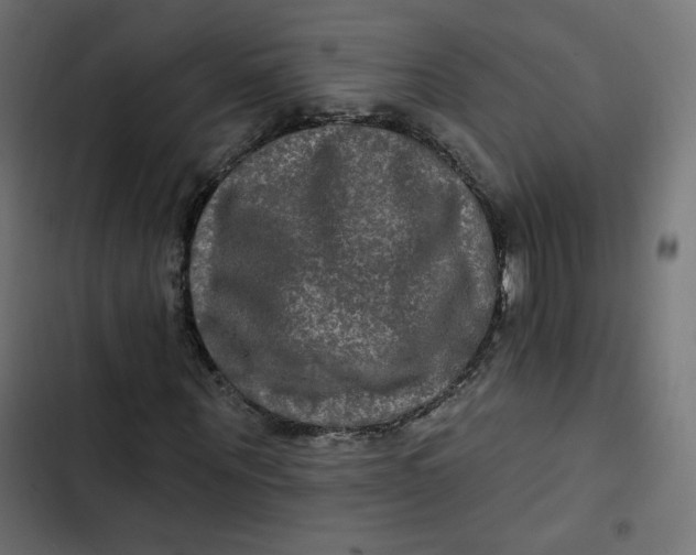 X0000103320867200809261134