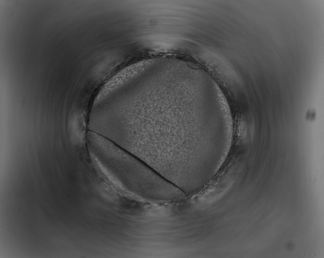 X0000103320868200809261134