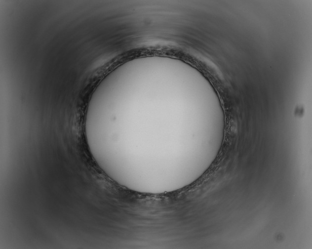 X0000103320869200809261134