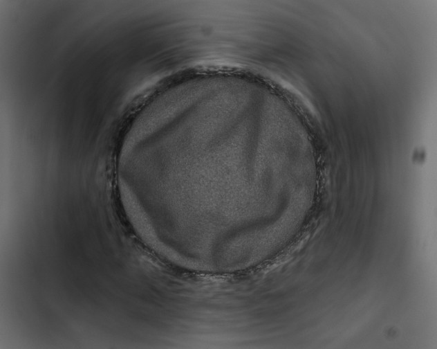 X0000103320870200809261134