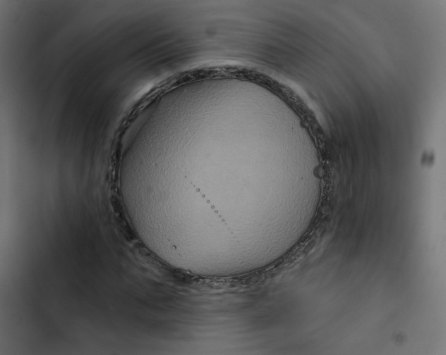 X0000103320871200809261134