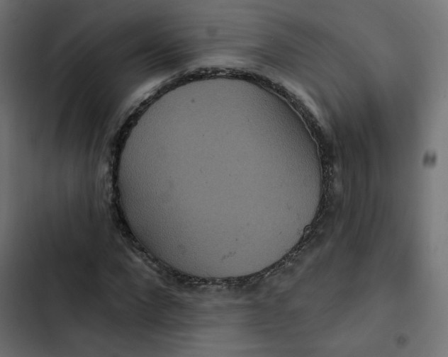 X0000103320872200809261134