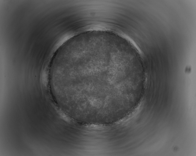 X0000103320874200809261134