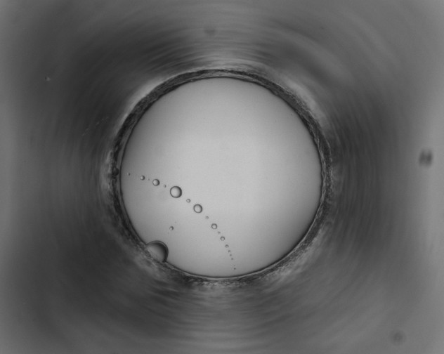 X0000103320875200809261134