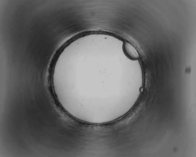 X0000103320876200809261134