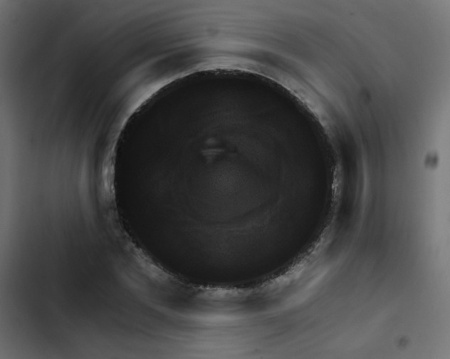 X0000103320877200809261134