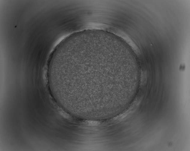 X0000103320878200809261134