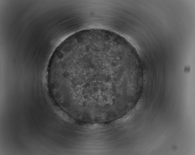 X0000103320879200809261134