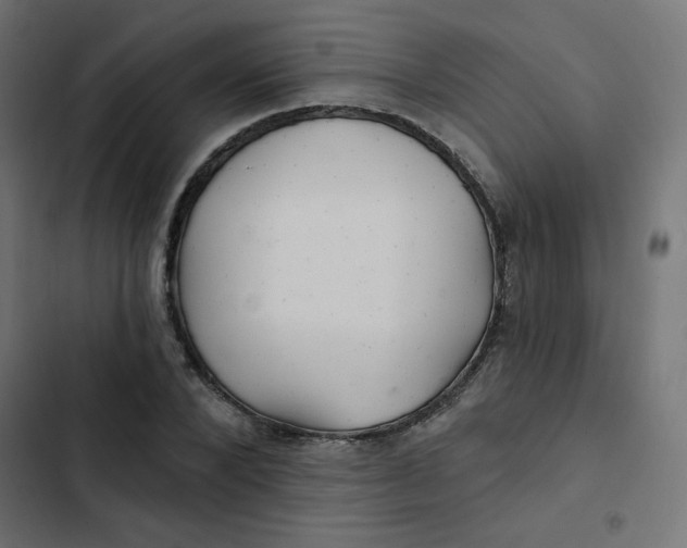 X0000103320880200809261134