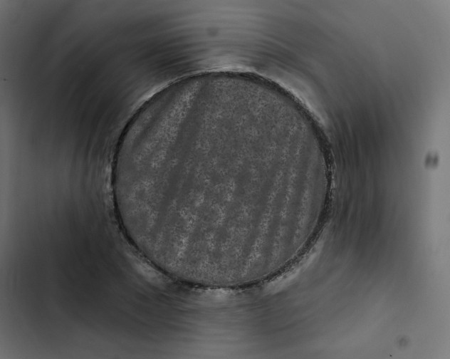 X0000103320881200809261134