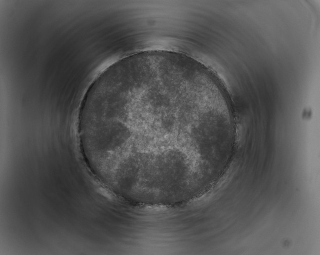 X0000103320882200809261134