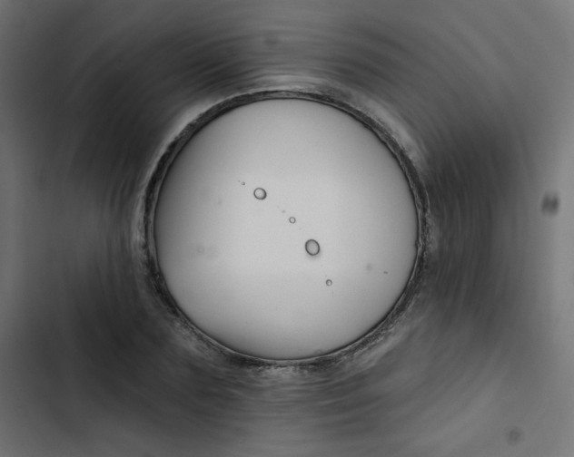 X0000103320883200809261134