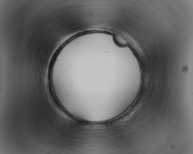 X0000103320884200809261134