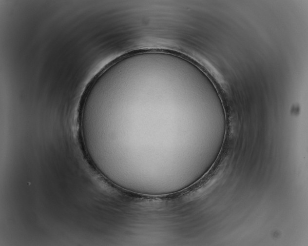 X0000103320885200809261134