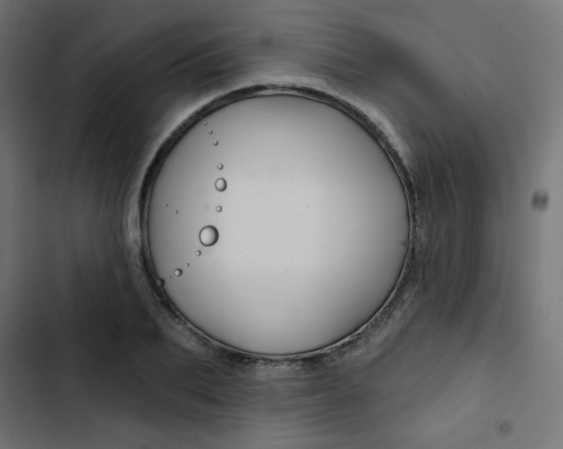 X0000103320887200809261133