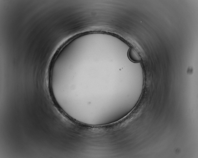 X0000103320888200809261133