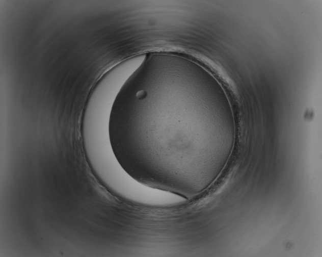 X0000103320889200809261133