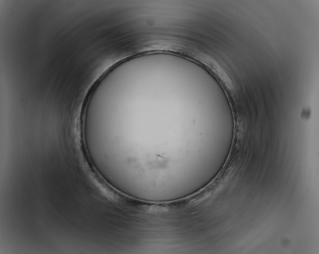 X0000103320890200809261133