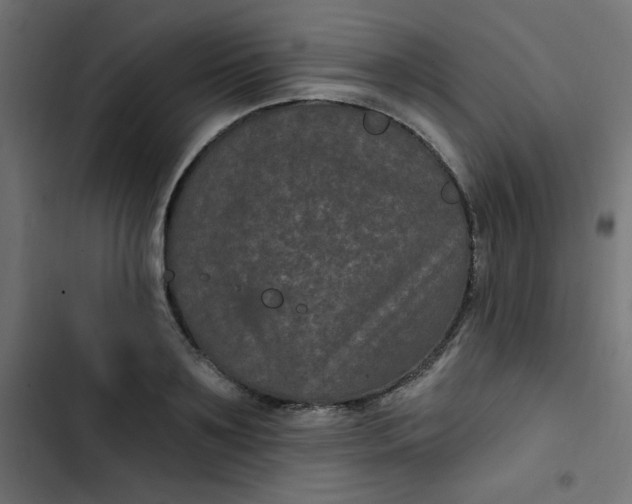 X0000103320891200809261133