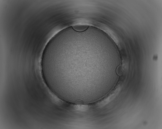 X0000103320893200809261133