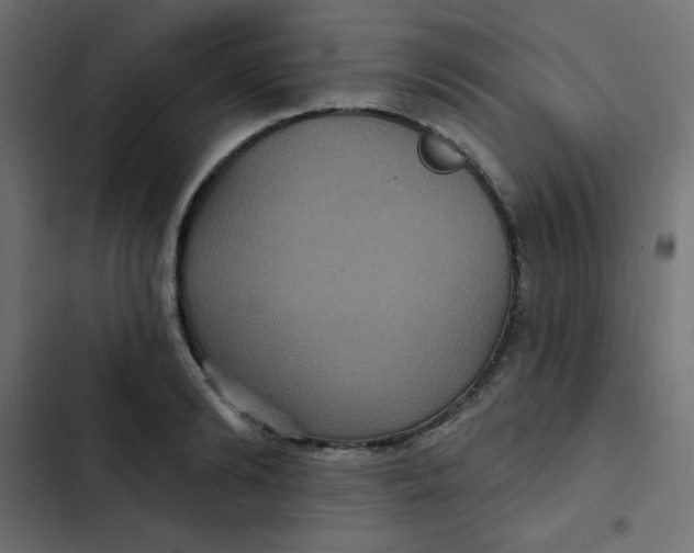 X0000103320894200809261133