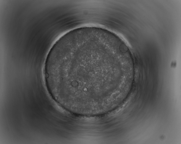 X0000103320895200809261133