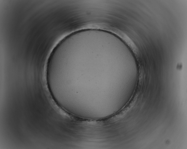 X0000103320896200809261133