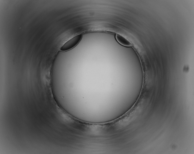 X0000103320897200809261133