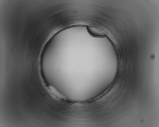 X0000103320898200809261133