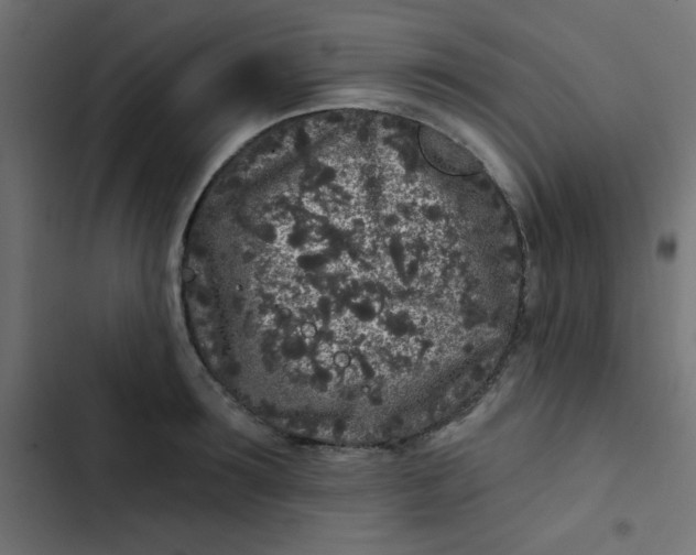 X0000103320899200809261133