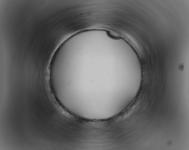 X0000103320900200809261133