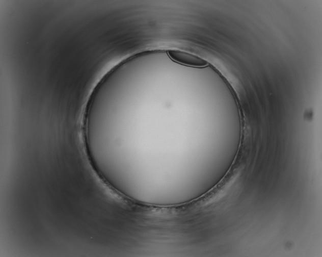 X0000103320901200809261133